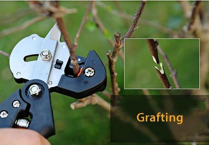 Garden Grafting Scissors – Precision Cutting Tool for Plant Grafting and Pruning