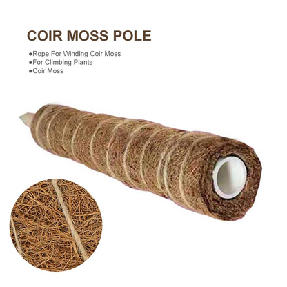 Natural Coconut Climbing Stick – Support for Houseplants and Garden Vines