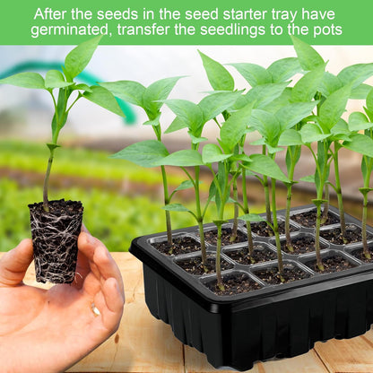 Plant Cultivation Kit with Grow Light - Complete Set for Thriving Indoor Plants