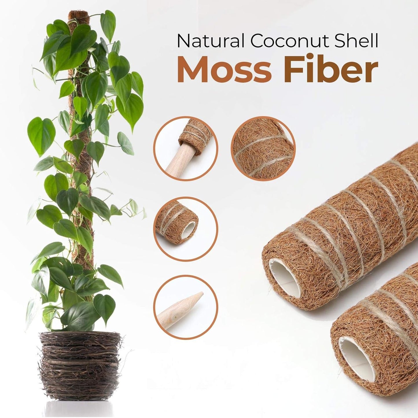 Natural Coconut Climbing Stick – Support for Houseplants and Garden Vines