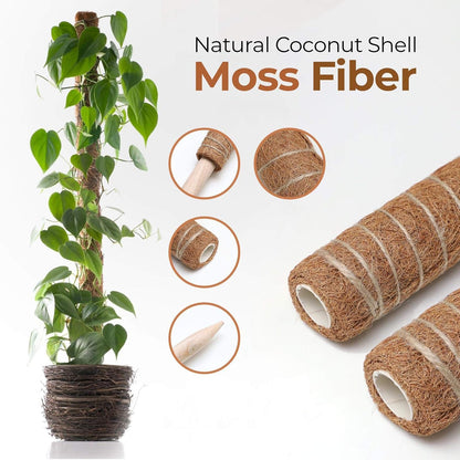 Natural Coconut Climbing Stick – Support for Houseplants and Garden Vines