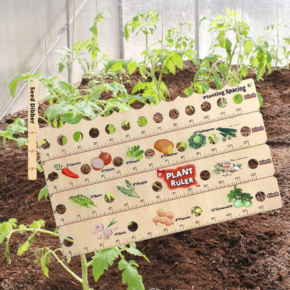 Garden Planting Guide Ruler – Wooden Seed Depth & Spacing Tool for Accurate Planting