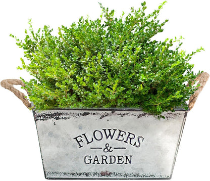 Metal Garden Planter with Hemp Rope Handles – Decorative Flower Pot for Outdoor Use