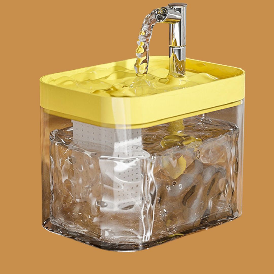 Pet Water Dispenser for Clean and Fresh water