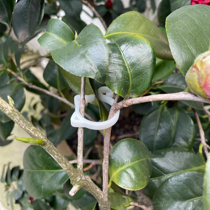 Animal-Shaped Plant Clips – Decorative Support for Garden and Indoor Plants