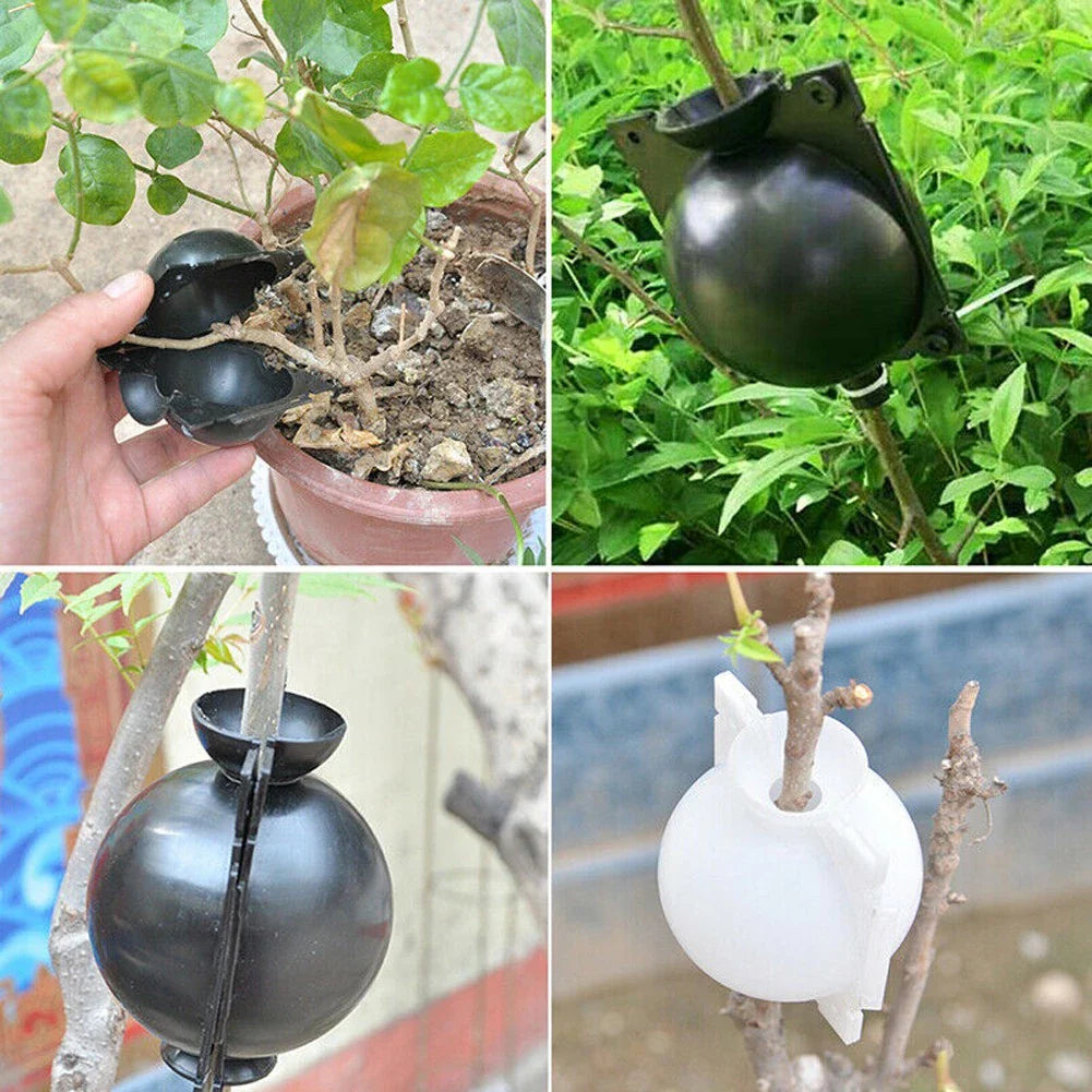 Root Protection Caps for Plants – Safety Covers for Transplanting and Healthy Growth