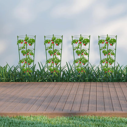 Plant Climbing Support Frame - Sturdy Ring Frame for Vining and Climbing Plants