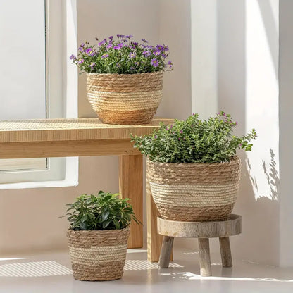 Set of 3 Handwoven Seagrass Plant Baskets - Decorative Flower Pots with Foil Liner
