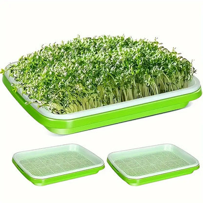 Seed Germination Tray with Lid – Double-Layer Plant Starter Tray for Efficient Growth