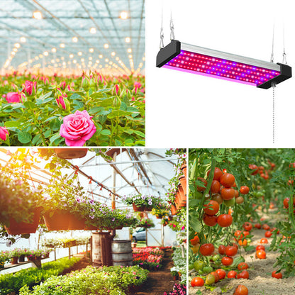 Full Spectrum LED Grow Light with Adjustable Pull Switch – Ideal for Promoting Plant Growth