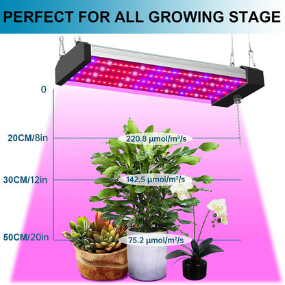 Full Spectrum LED Grow Light with Adjustable Pull Switch – Ideal for Promoting Plant Growth