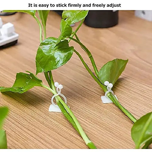 Wall Mount Clips for Climbing Plants – Durable Holders for Vertical Garden Decoration