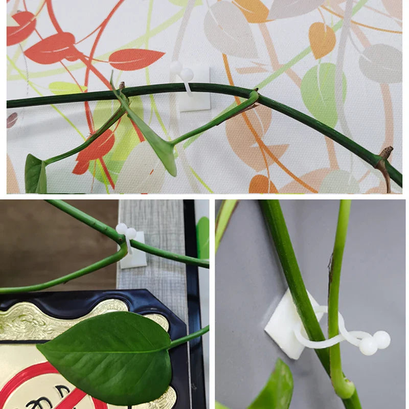 Wall Mount Clips for Climbing Plants – Durable Holders for Vertical Garden Decoration