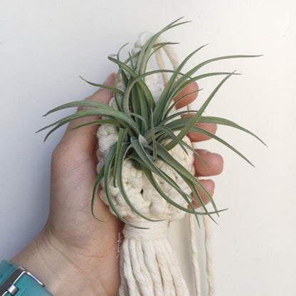 Boho Chic Handmade Macramé Plant Hanger - Decorative Suspension for Indoor Plants