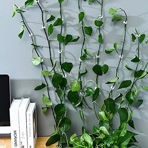 Wall Mount Clips for Climbing Plants – Durable Holders for Vertical Garden Decoration