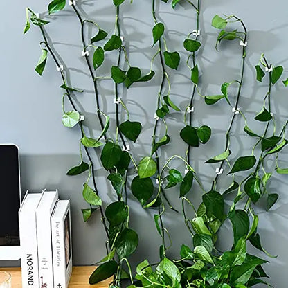 Wall Mount Clips for Climbing Plants – Durable Holders for Vertical Garden Decoration