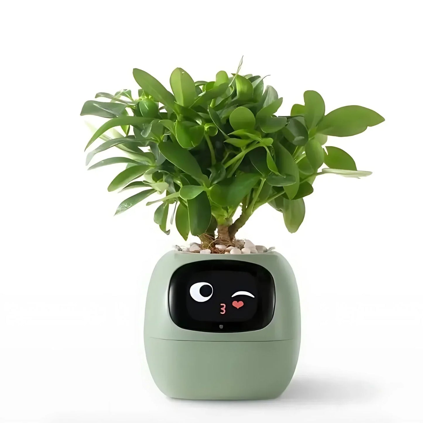 Smart Self-Watering Plant Pot with LED Display and Automatic Care System