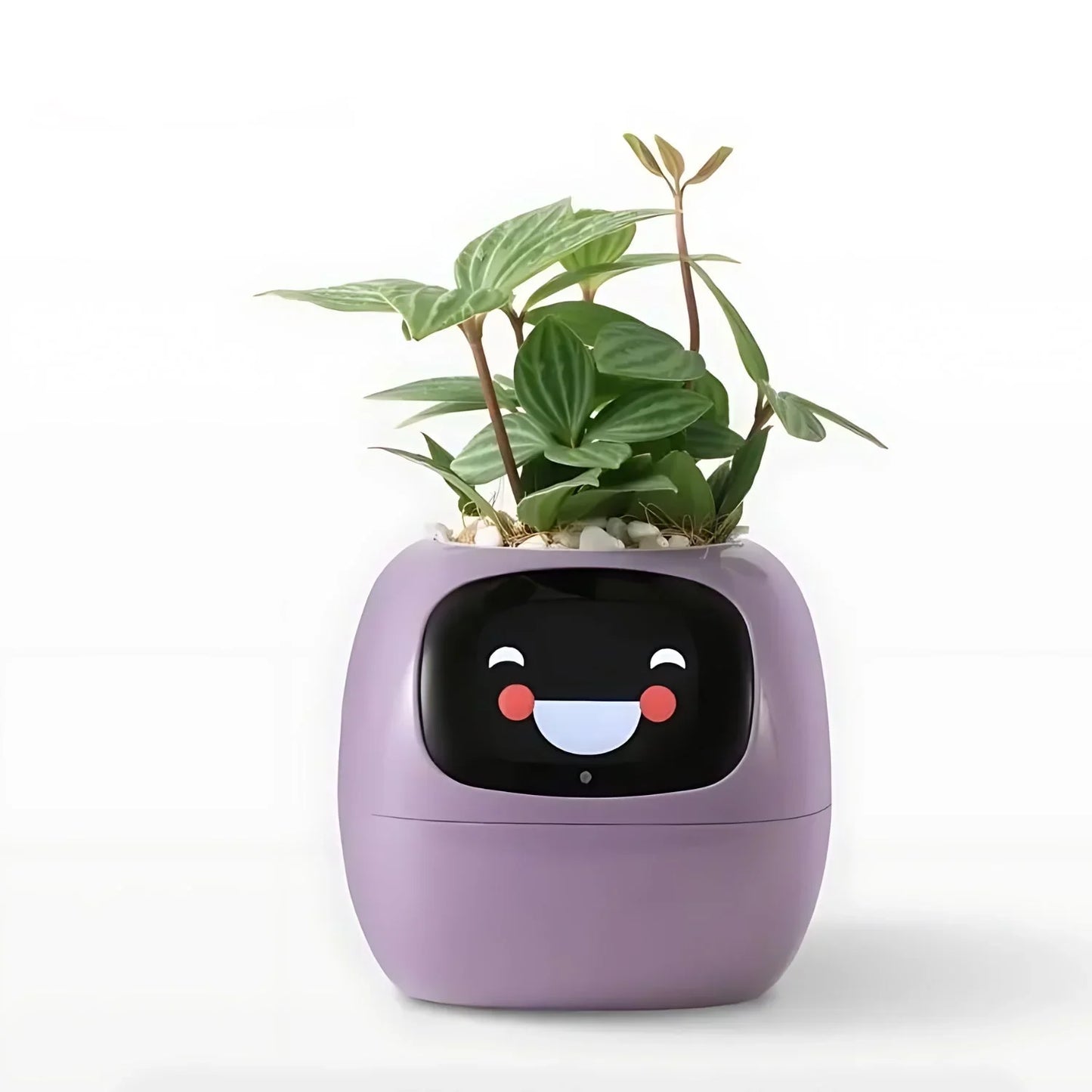 Smart Self-Watering Plant Pot with LED Display and Automatic Care System