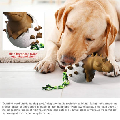 Dino Egg - Durable Chew Toy