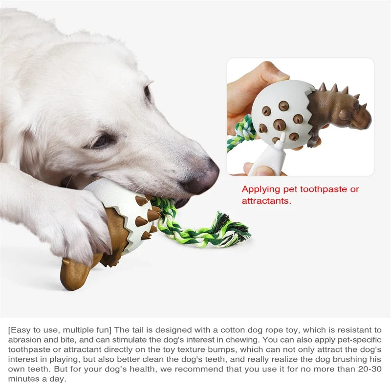 Dino Egg - Durable Chew Toy