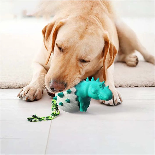 Dino Egg - Durable Chew Toy