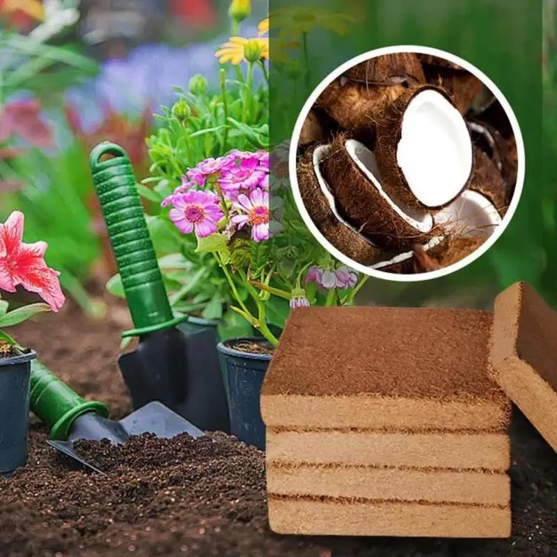 Nutrient-Rich Coconut Soil