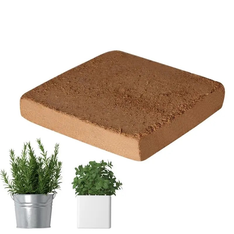 Nutrient-Rich Coconut Soil