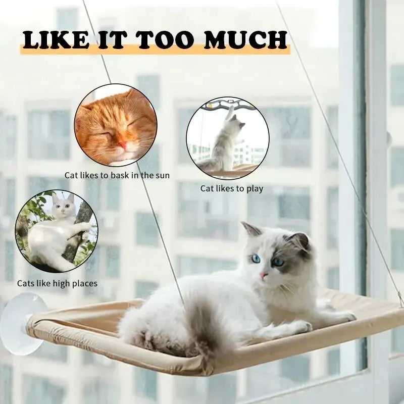 Premium Cat Hammock