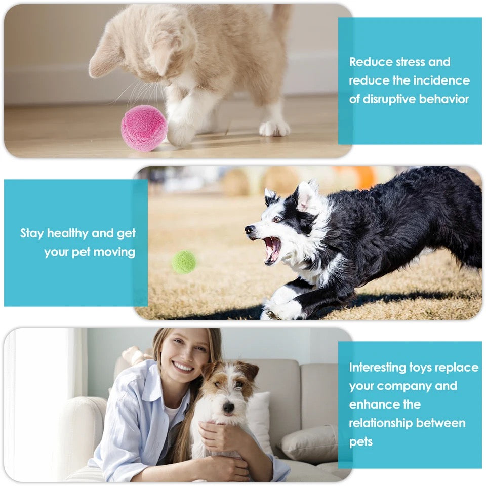 Active Rolling Ball (4 Colors included)