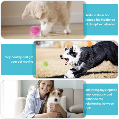 Active Rolling Ball (4 Colors included)