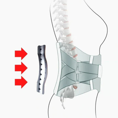Back Support Belt For Lumbar Pain Relief