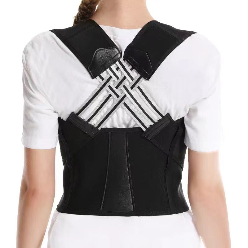 PosturePro Back Support Belt