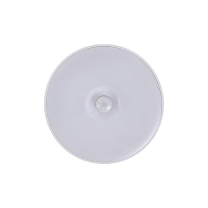 Smart Motion-Sensing Light