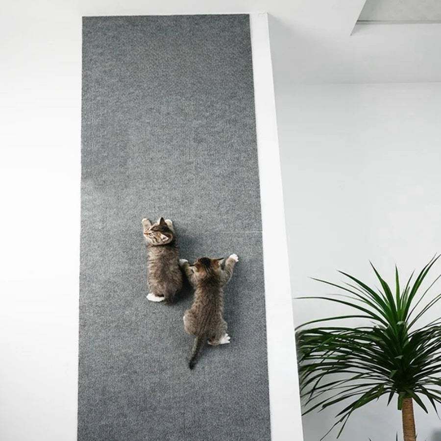 Universal Cat Scratch Protection