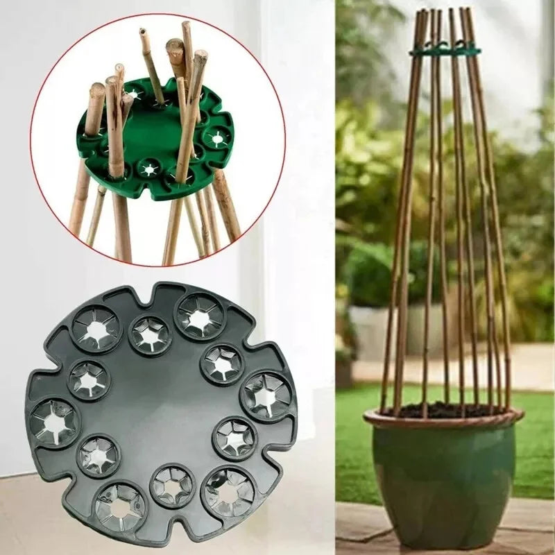 Bamboo Plant Support Ring - Sturdy Climbing Support for Tomatoes and Vining Plants