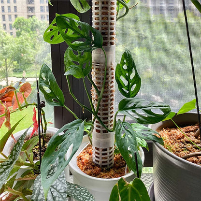 Climbing Plant Support Pillars - Vertical Garden Stakes for Green Plants and Vines