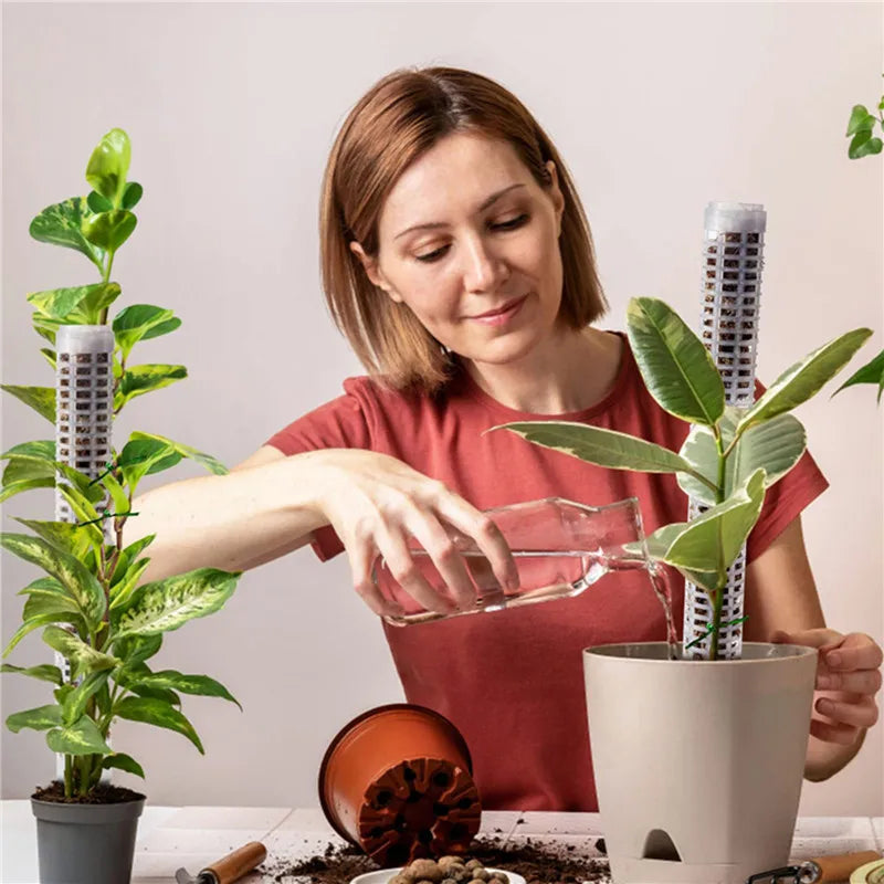 Climbing Plant Support Pillars - Vertical Garden Stakes for Green Plants and Vines