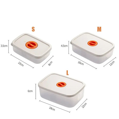 Bento Lunchbox with Compartments – Convenient Food Storage Container