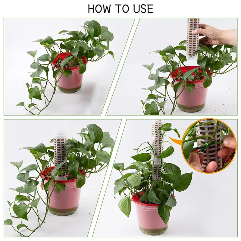 Climbing Plant Support Pillars - Vertical Garden Stakes for Green Plants and Vines