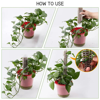 Climbing Plant Support Pillars - Vertical Garden Stakes for Green Plants and Vines
