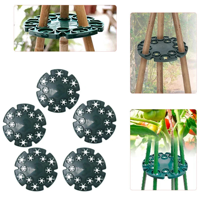Bamboo Plant Support Ring - Sturdy Climbing Support for Tomatoes and Vining Plants