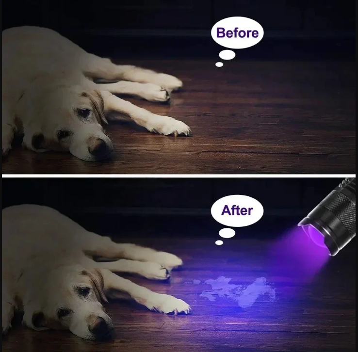 UltraBright UV Flashlight – High-Powered Ultraviolet Torch For Stain & Pet Urine Detection