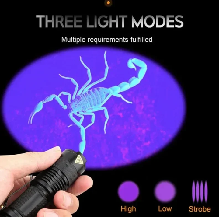 UltraBright UV Flashlight – High-Powered Ultraviolet Torch For Stain & Pet Urine Detection