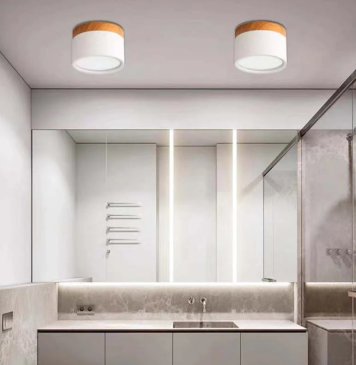 Modern Morandi LED Ceiling Light