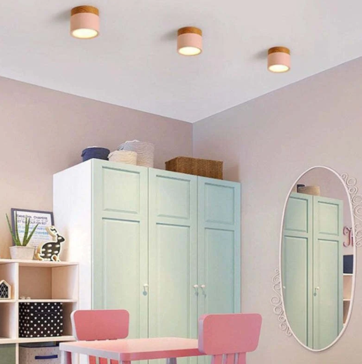 Modern Morandi LED Ceiling Light