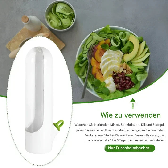 Airtight Herb Keeper – Space-Saving Storage Container for Maximum Freshness