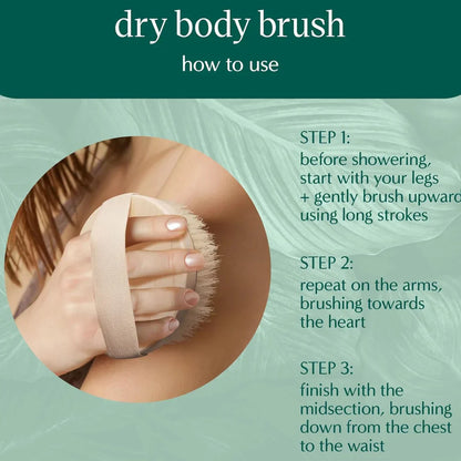Eco-Friendly Dry Brush | Natural Exfoliation For Smooth & Radiant Skin