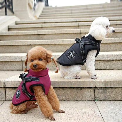 Wind- and Waterproof Jacket for Dogs with Harness