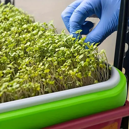 Seed Germination Tray with Lid – Double-Layer Plant Starter Tray for Efficient Growth