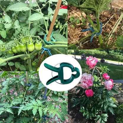 Plant Support Clip Set – Adjustable Garden Loops for Plant Care and Growth Support
